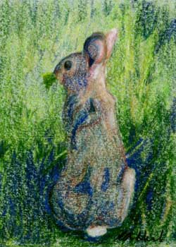 "Morning Munch" by Rebecca Herb, Madison WI - Colored Pencil